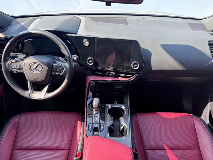 Фото 6 - Lexus NX