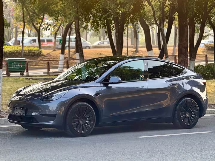 Фото 1 - Tesla Model Y