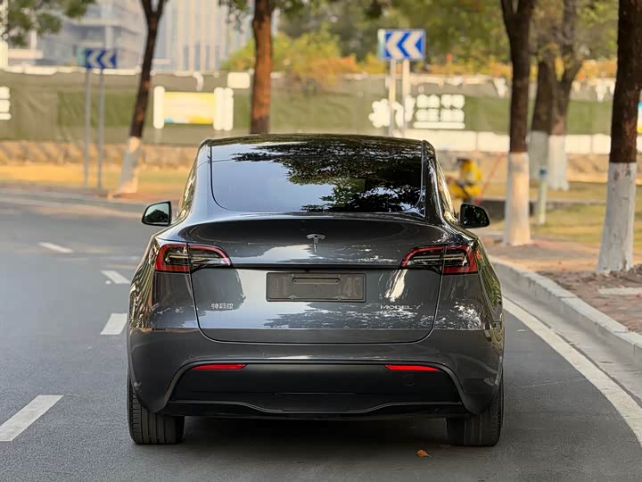 Фото 4 - Tesla Model Y