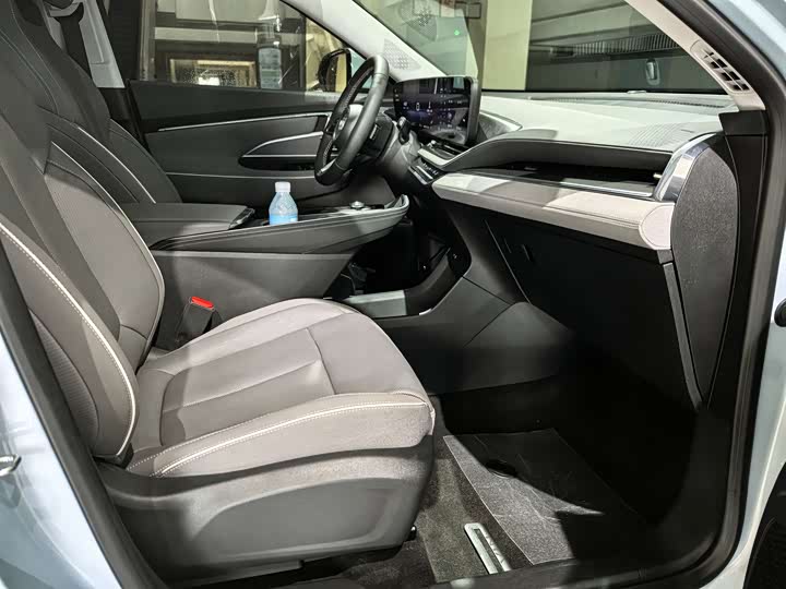 Фото 5 - Buick Electra E5