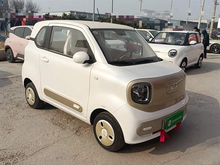 Фото 4 - Bestune Pony