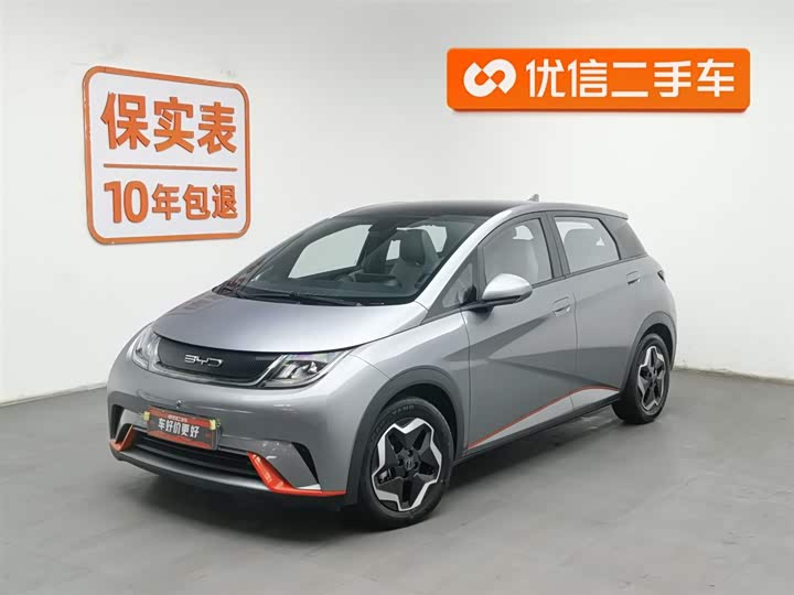 Фото 1 - BYD Dolphin