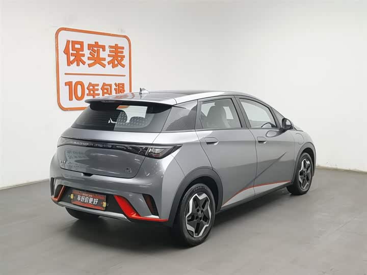 Фото 2 - BYD Dolphin