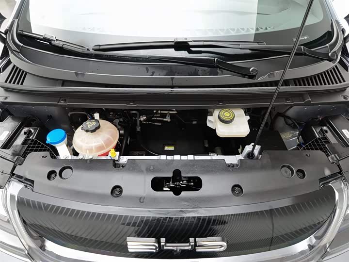 Фото 6 - BYD Dolphin