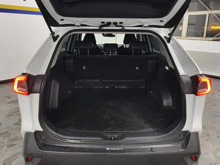 Фото 4 - Toyota Wildlander