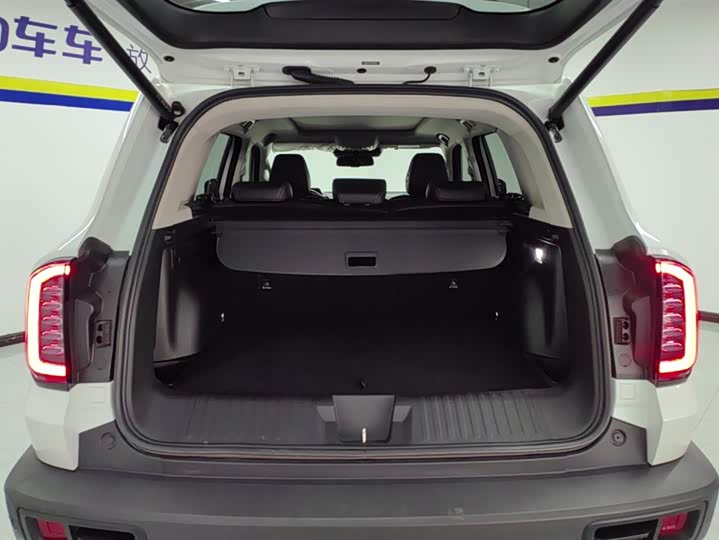 Фото 4 - Haval Dargo