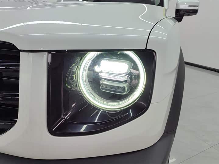 Фото 5 - Haval Dargo