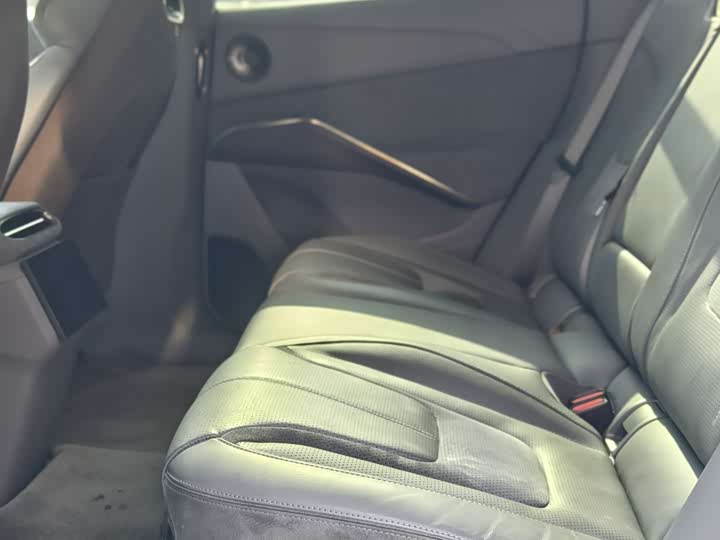 Фото 5 - Lotus Eletre