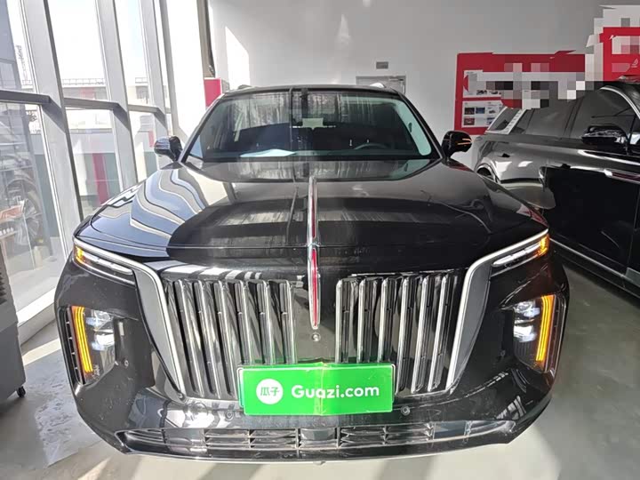 Фото 3 - Hongqi E-HS9