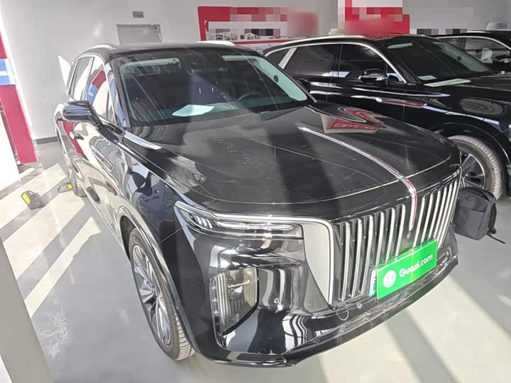 Фото 4 - Hongqi E-HS9