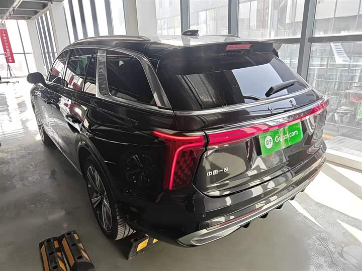 Фото 5 - Hongqi E-HS9