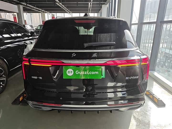 Фото 6 - Hongqi E-HS9