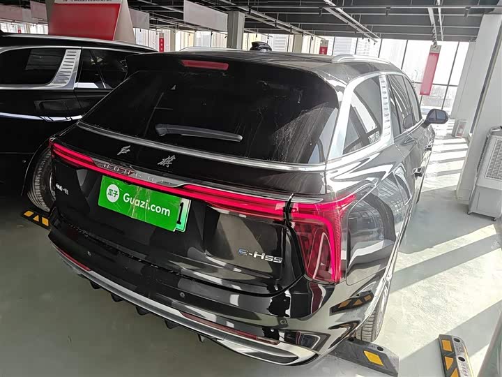 Фото 7 - Hongqi E-HS9
