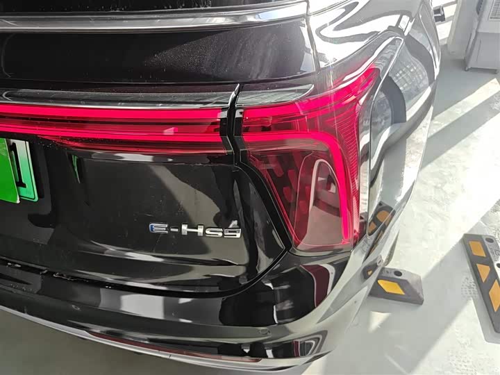 Фото 8 - Hongqi E-HS9