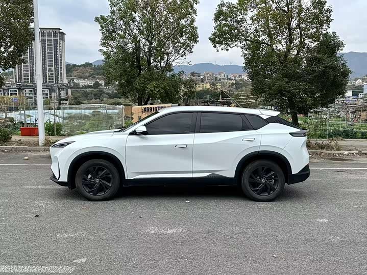 Фото 4 - Dongfeng Aeolus Sky EV01