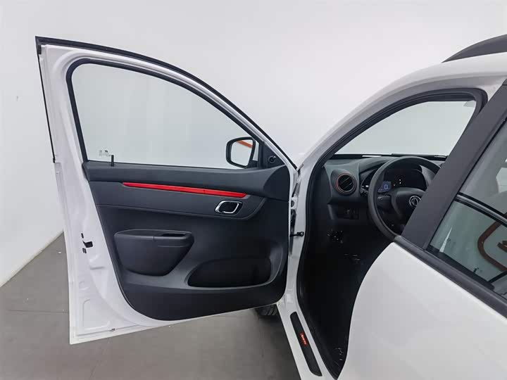 Фото 8 - Dongfeng Nammi Nano EX1 Pro