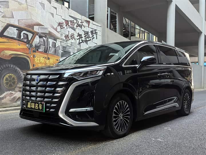 Фото 1 - Denza D9