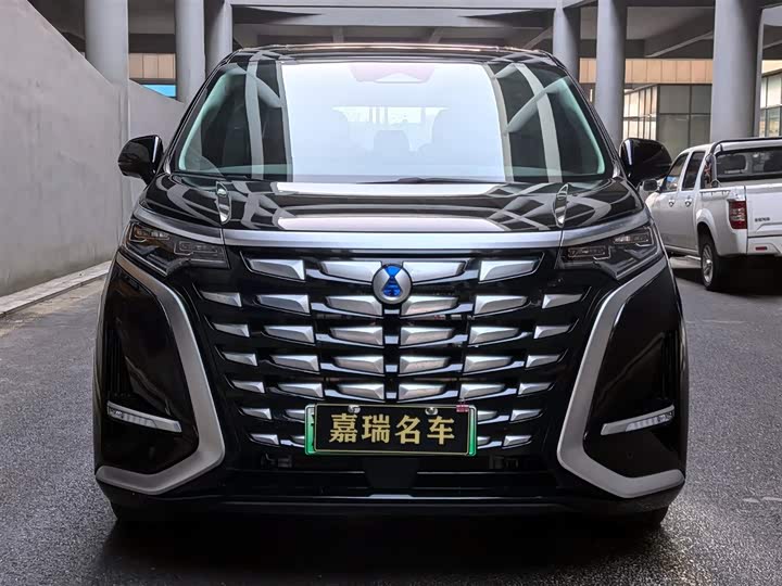 Фото 2 - Denza D9