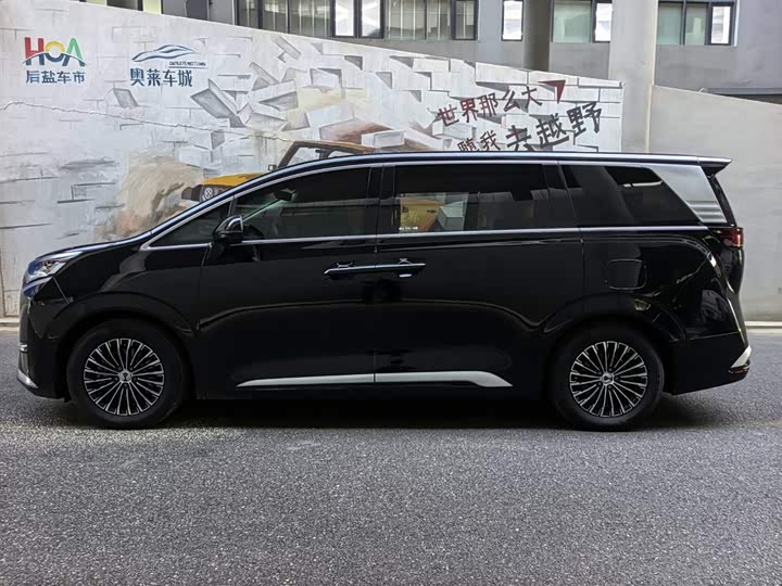 Фото 3 - Denza D9