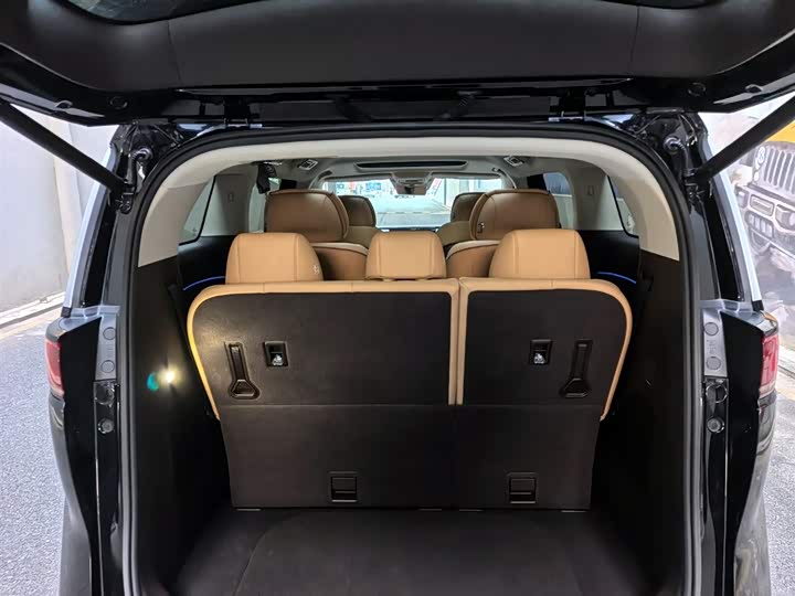 Фото 8 - Denza D9