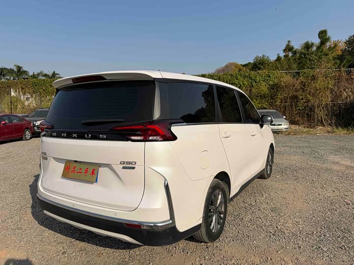 Фото 7 - Maxus G50