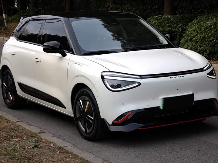 Фото 3 - Dongfeng Nammi 01