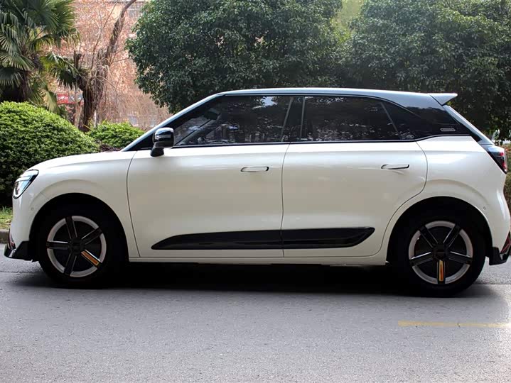 Фото 4 - Dongfeng Nammi 01