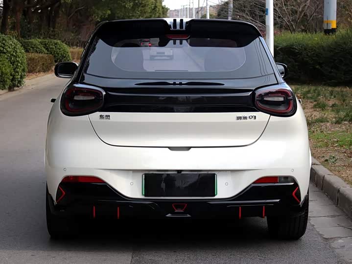 Фото 6 - Dongfeng Nammi 01