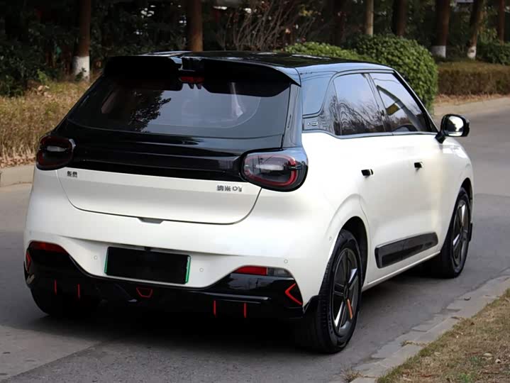 Фото 7 - Dongfeng Nammi 01