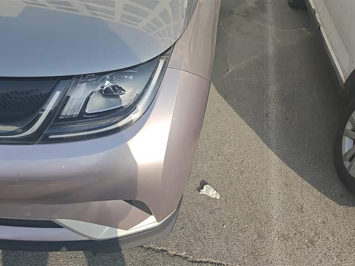 Фото 5 - BYD Dolphin