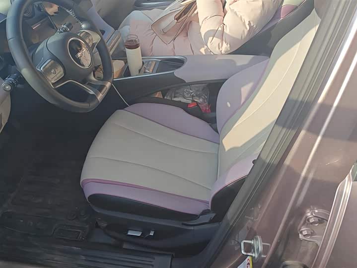 Фото 9 - BYD Dolphin