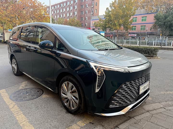 Фото 2 - Buick GL8 Century