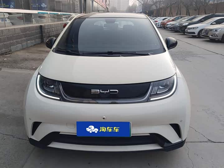 Фото 2 - BYD Dolphin