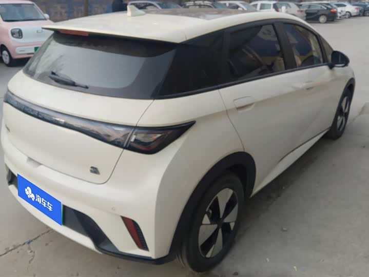 Фото 3 - BYD Dolphin