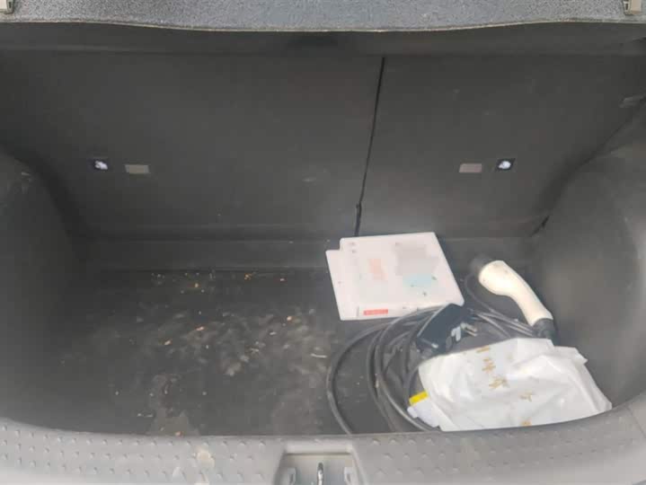 Фото 4 - BYD Dolphin