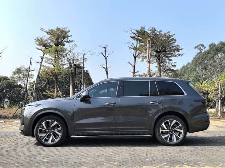 Фото 4 - LiXiang One