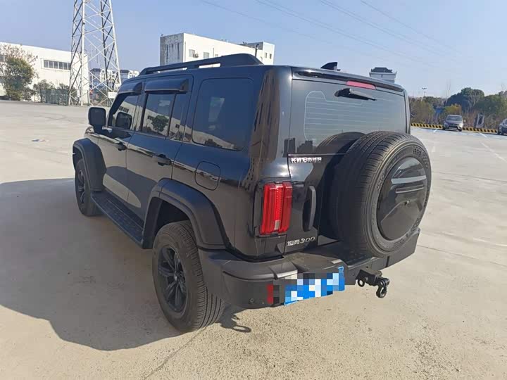 Фото 5 - Tank 300