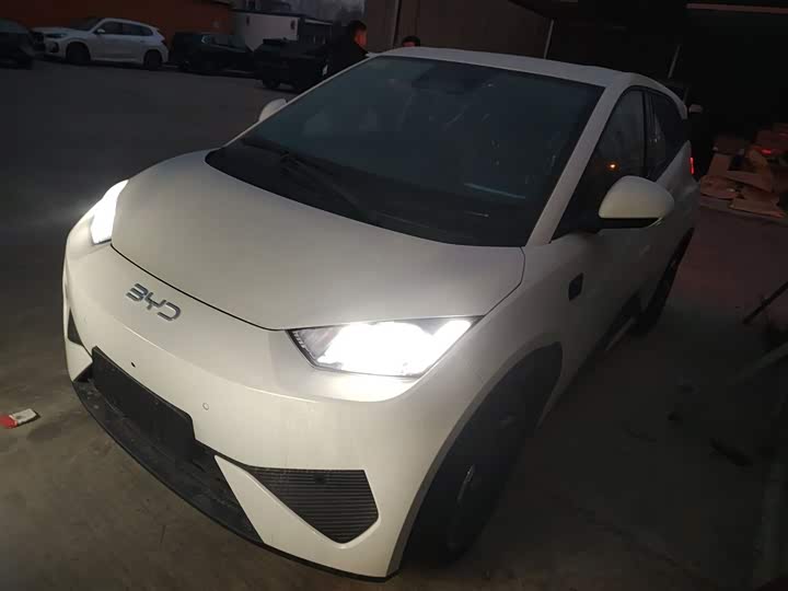 Фото 2 - BYD Seagull