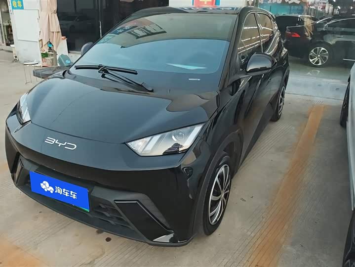 Фото 1 - BYD Seagull