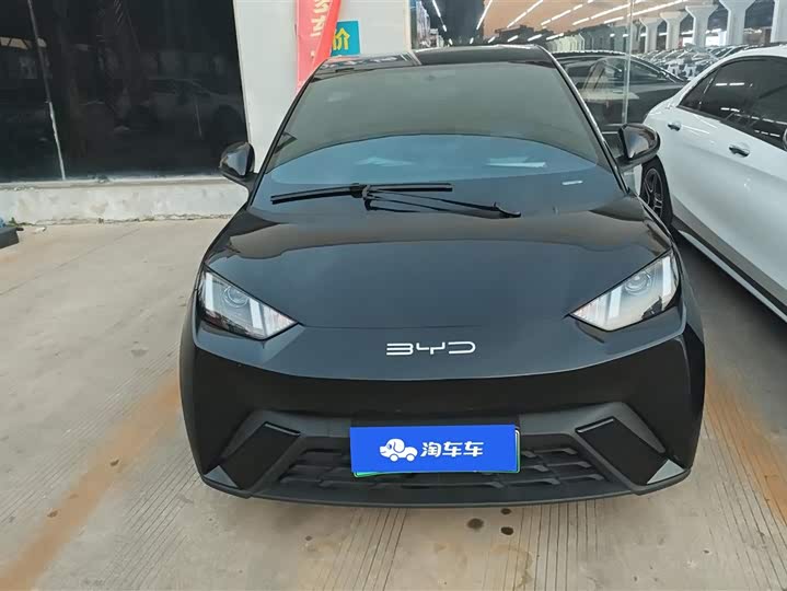 Фото 2 - BYD Seagull