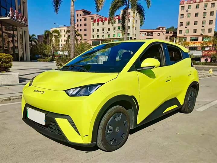 Фото 1 - BYD Seagull