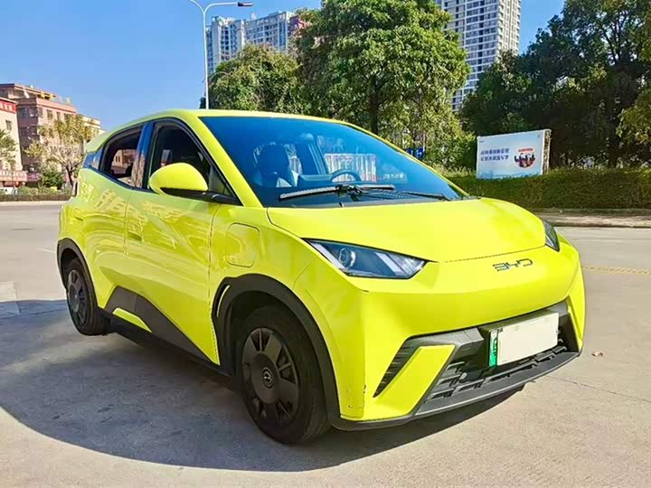 Фото 2 - BYD Seagull