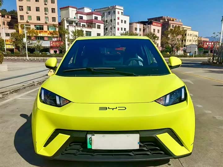 Фото 3 - BYD Seagull