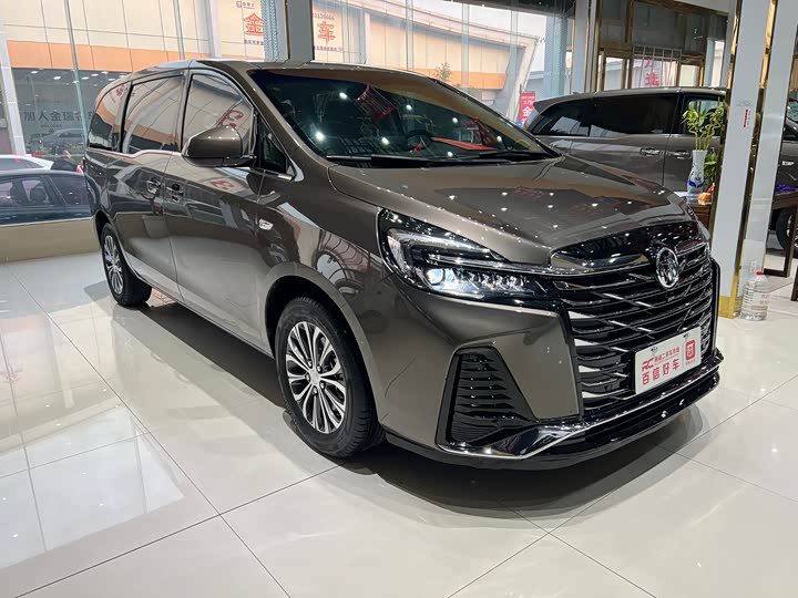 Фото 1 - Buick GL8 ES