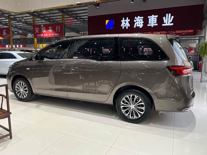 Фото 5 - Buick GL8 ES