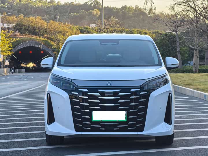 Фото 2 - BYD Xia