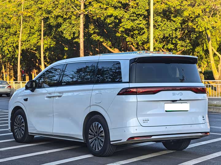 Фото 3 - BYD Xia