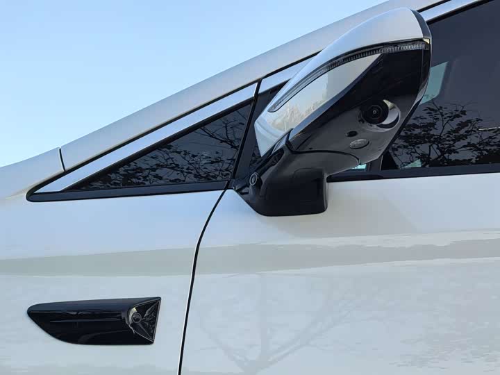 Фото 7 - BYD Xia