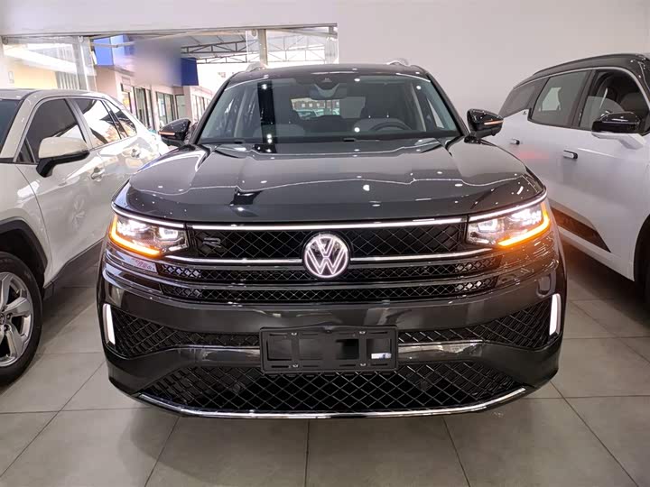 Фото 3 - Volkswagen Tavendor