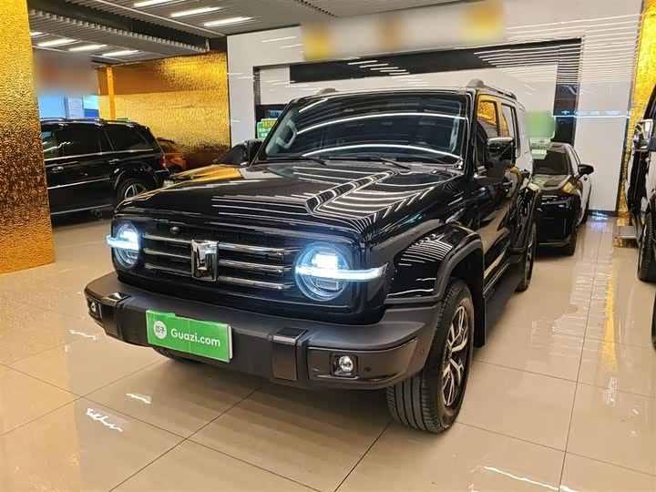 Фото 2 - Tank 300